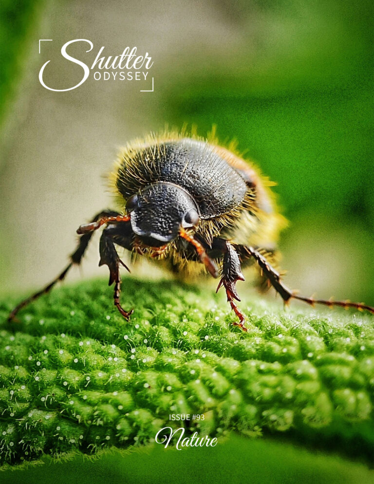 Shutter Odyssey Magazine, issue #93 - Cover photo Zsóka Molnár